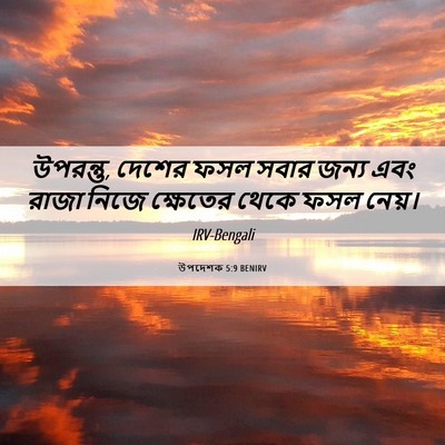 Picture 06 - উপদেশক 5:9 BENIRV - উপরন্তু, দেশের ফসল - Bible Verse Picture