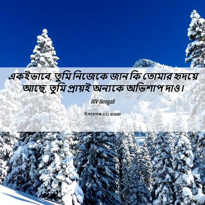 Picture 06 - উপদেশক 7:22 BENIRV - একইভাবে, তুমি - Bible Verse Picture
