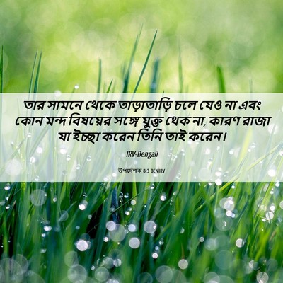 Picture 06 - উপদেশক 8:3 BENIRV - তার সামনে থেকে - Bible Verse Picture