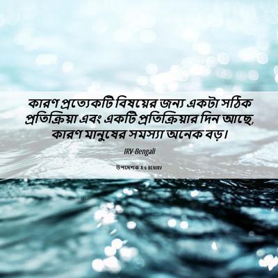 Picture 06 - উপদেশক 8:6 BENIRV - কারণ প্রত্যেকটি - Bible Verse Picture