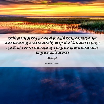 Picture 06 - উপদেশক 8:9 BENIRV - আমি এ সমস্ত অনুভব - Bible Verse Picture