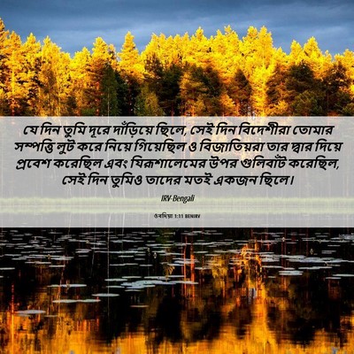 Picture 06 - ওবদিয়া 1:11 BENIRV - যে দিন তুমি দূরে - Bible Verse Picture