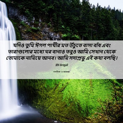 Picture 06 - ওবদিয়া 1:4 BENIRV - যদিও তুমি ঈগল - Bible Verse Picture