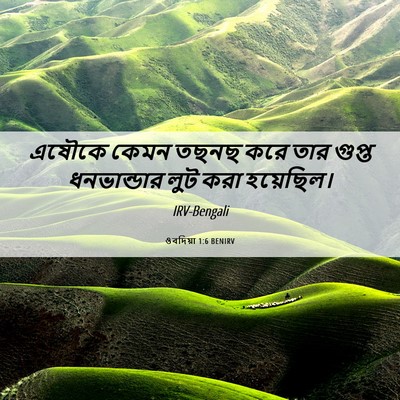 Picture 06 - ওবদিয়া 1:6 BENIRV - এষৌকে কেমন তছনছ - Bible Verse Picture
