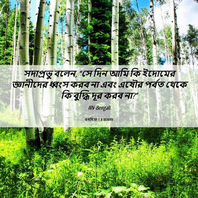 Picture 06 - ওবদিয়া 1:8 BENIRV - সদাপ্রভু বলেন, “সে - Bible Verse Picture