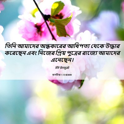Picture 06 - কলচীয়া 1:13 BENIRV - তিনি আমাদের - Bible Verse Picture