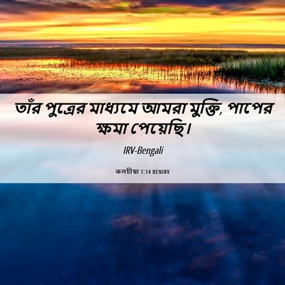 Picture 06 - কলচীয়া 1:14 BENIRV - তাঁর পুত্রের - Bible Verse Picture