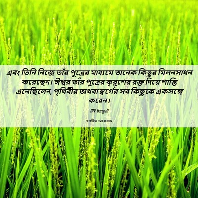 Picture 06 - কলচীয়া 1:20 BENIRV - এবং তিনি নিজে তাঁর - Bible Verse Picture