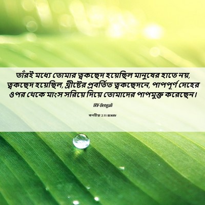 Picture 06 - কলচীয়া 2:11 BENIRV - তাঁরই মধ্যে তোমার - Bible Verse Picture