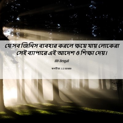 Picture 06 - কলচীয়া 2:22 BENIRV - যে সব জিনিস - Bible Verse Picture