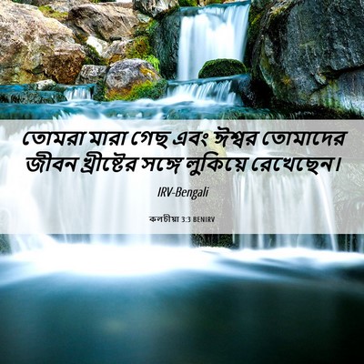 Picture 06 - কলচীয়া 3:3 BENIRV - তোমরা মারা গেছ এবং - Bible Verse Picture