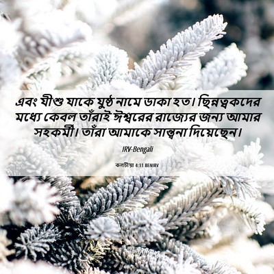 Picture 06 - কলচীয়া 4:11 BENIRV - এবং যীশু যাকে - Bible Verse Picture