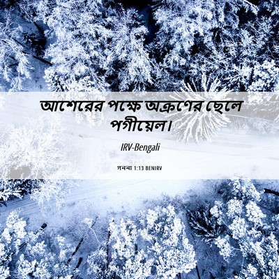Picture 06 - গননা 1:13 BENIRV - আশেরের পক্ষে - Bible Verse Picture