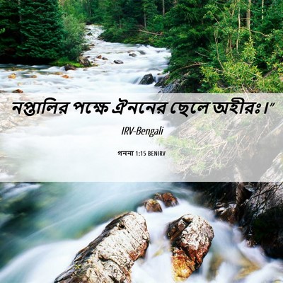 Picture 06 - গননা 1:15 BENIRV - নপ্তালির পক্ষে - Bible Verse Picture