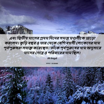 Picture 06 - গননা 1:18 BENIRV - এবং দ্বিতীয় - Bible Verse Picture