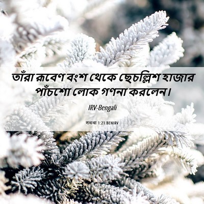 Picture 06 - গননা 1:21 BENIRV - তাঁরা রূবেণ বংশ - Bible Verse Picture