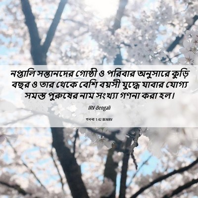 Picture 06 - গননা 1:42 BENIRV - নপ্তালি সন্তানদের - Bible Verse Picture
