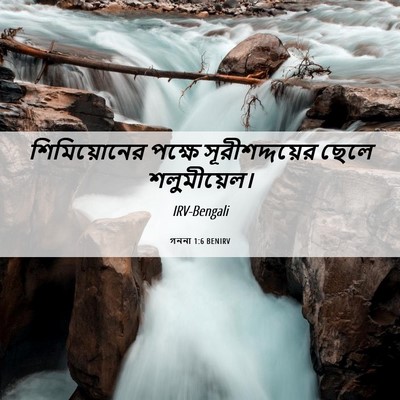 Picture 06 - গননা 1:6 BENIRV - শিমিয়োনের পক্ষে - Bible Verse Picture