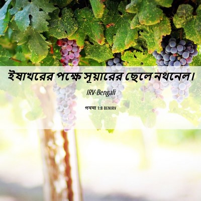 Picture 06 - গননা 1:8 BENIRV - ইষাখরের পক্ষে - Bible Verse Picture