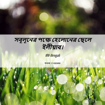 Picture 06 - গননা 1:9 BENIRV - সবূলূনের পক্ষে - Bible Verse Picture