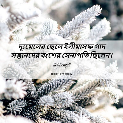 Picture 06 - গননা 10:20 BENIRV - দ্যূয়েলের ছেলে - Bible Verse Picture