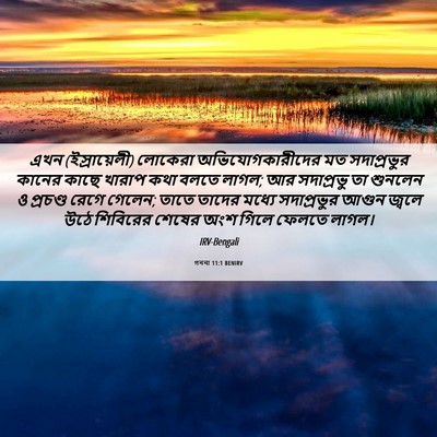 Picture 06 - গননা 11:1 BENIRV - এখন (ইস্রায়েলী) - Bible Verse Picture