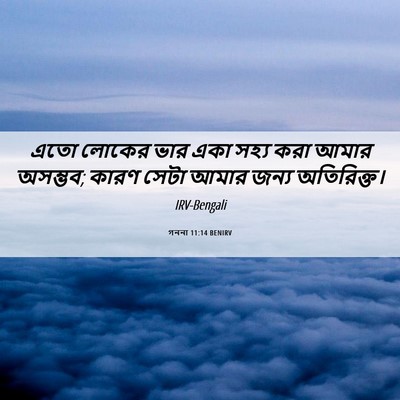 Picture 06 - গননা 11:14 BENIRV - এতো লোকের ভার একা - Bible Verse Picture
