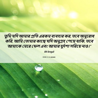 Picture 06 - গননা 11:15 BENIRV - তুমি যদি আমার - Bible Verse Picture