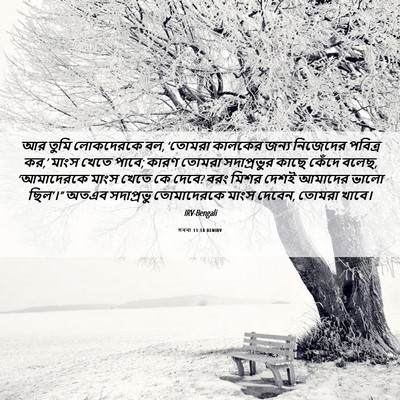 Picture 06 - গননা 11:18 BENIRV - আর তুমি লোকদেরকে - Bible Verse Picture