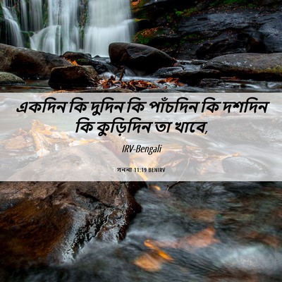 Picture 06 - গননা 11:19 BENIRV - একদিন কি দুদিন কি - Bible Verse Picture