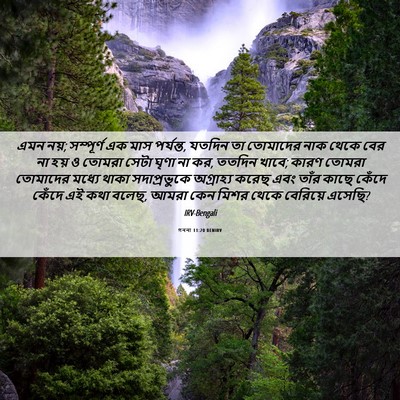 Picture 06 - গননা 11:20 BENIRV - এমন নয়; সম্পূর্ণ - Bible Verse Picture