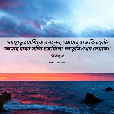Picture 06 - গননা 11:23 BENIRV - সদাপ্রভু মোশিকে - Bible Verse Picture