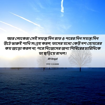 Picture 06 - গননা 11:32 BENIRV - আর লোকেরা সেই - Bible Verse Picture