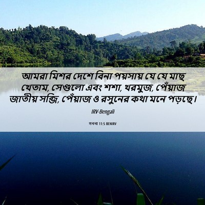 Picture 06 - গননা 11:5 BENIRV - আমরা মিশর দেশে - Bible Verse Picture