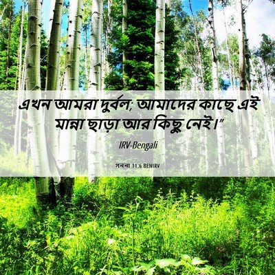 Picture 06 - গননা 11:6 BENIRV - এখন আমরা দুর্বল; - Bible Verse Picture