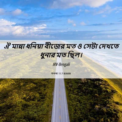 Picture 06 - গননা 11:7 BENIRV - ঐ মান্না ধনিয়া - Bible Verse Picture