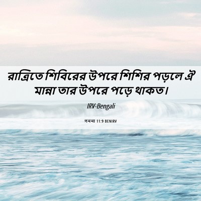 Picture 06 - গননা 11:9 BENIRV - রাত্রিতে শিবিরের - Bible Verse Picture