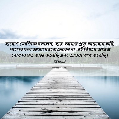 Picture 06 - গননা 12:11 BENIRV - হারোণ মোশিকে - Bible Verse Picture