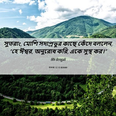 Picture 06 - গননা 12:13 BENIRV - সুতরাং, মোশি - Bible Verse Picture
