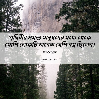 Picture 06 - গননা 12:3 BENIRV - পৃথিবীর সমস্ত - Bible Verse Picture