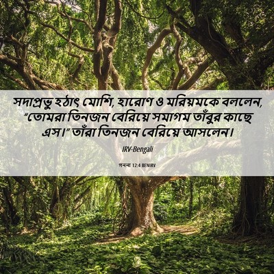 Picture 06 - গননা 12:4 BENIRV - সদাপ্রভু হঠাৎ - Bible Verse Picture