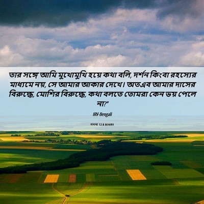 Picture 06 - গননা 12:8 BENIRV - তার সঙ্গে আমি - Bible Verse Picture