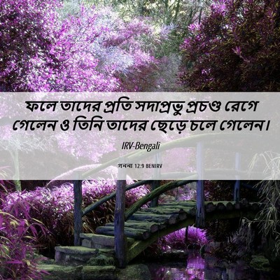 Picture 06 - গননা 12:9 BENIRV - ফলে তাদের প্রতি - Bible Verse Picture