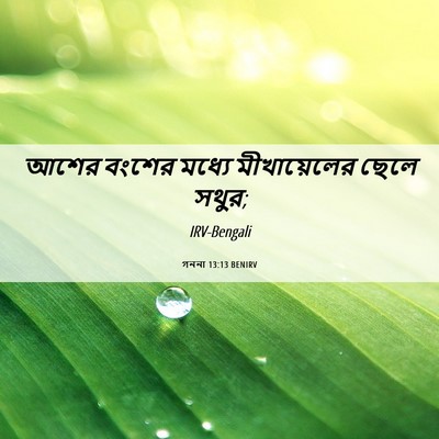 Picture 06 - গননা 13:13 BENIRV - আশের বংশের মধ্যে - Bible Verse Picture