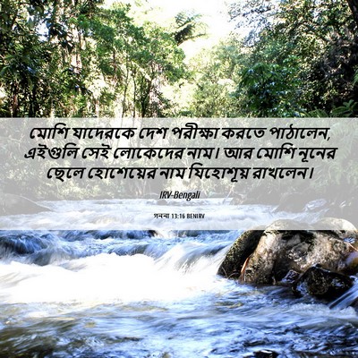 Picture 06 - গননা 13:16 BENIRV - মোশি যাদেরকে দেশ - Bible Verse Picture