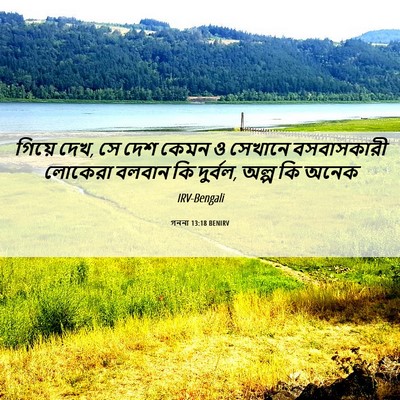 Picture 06 - গননা 13:18 BENIRV - গিয়ে দেখ, সে দেশ - Bible Verse Picture