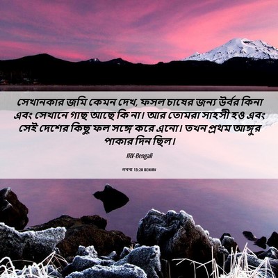 Picture 06 - গননা 13:20 BENIRV - সেখানকার জমি কেমন - Bible Verse Picture