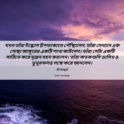 Picture 06 - গননা 13:23 BENIRV - যখন তাঁরা ইষ্কোল - Bible Verse Picture