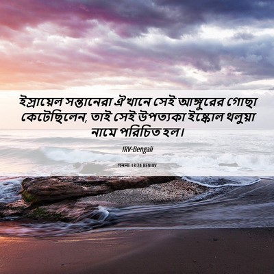 Picture 06 - গননা 13:24 BENIRV - ইস্রায়েল - Bible Verse Picture