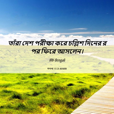 Picture 06 - গননা 13:25 BENIRV - তাঁরা দেশ পরীক্ষা - Bible Verse Picture